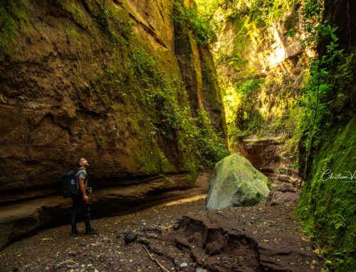 Los Cañones de la Tierra Que Canta, los de Comala