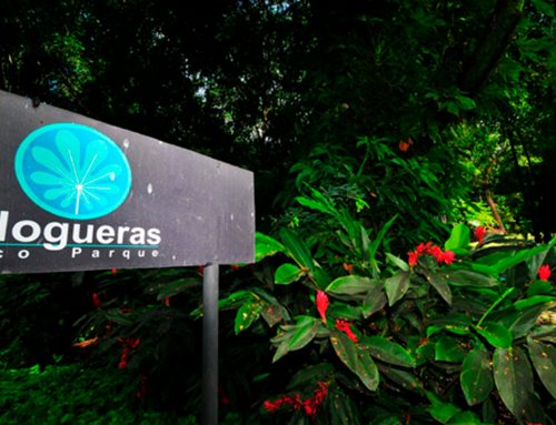 Ecoparque Nogueras